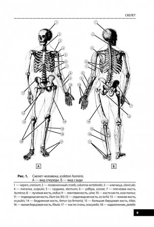 Анатомия человека фото книги 9