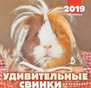 Календарь перекидной "Удивительные свинки" на 2019 год фото книги