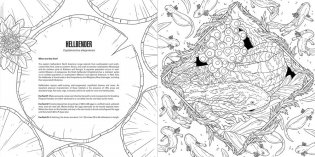 Baby animals: a smithsonian coloring book фото книги 9