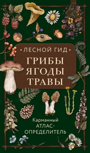 Лесной гид: грибы, ягоды, травы. Карманный атлас-определитель фото книги