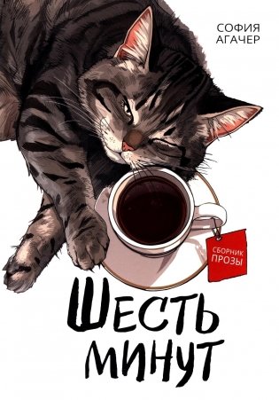 Шесть минут фото книги