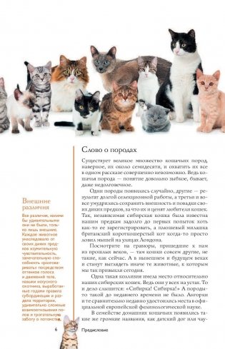 Все о кошках. Иллюстрированный гид фото книги 7