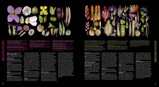 Атлас цветковых растений. 200 ботанических семейств в необычных ракурсах и мельчайших деталях фото книги 4