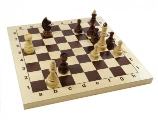 Игра настольная "Шахматы Гроссмейстерские" фото книги