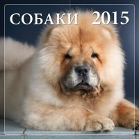 Собаки. Календарь настенный на 2015 год фото книги