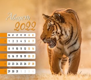Календарь-домик (евро) "Символ года 2. Маркет" на 2022 год фото книги 2