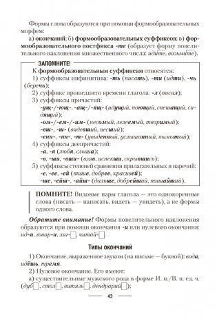 Русский язык. ЦЭ. ЦТ. Теория. Примеры. Тесты фото книги 11