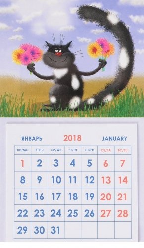 Календарь отрывной на 2018 год "Кот с цветами" (КР33-18016) фото книги