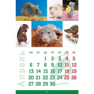 Календарь настенный перекидной на 2020 год "Знак года", 12 листов, 34х25,5 см фото книги 2