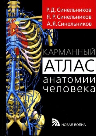 Карманный атлас анатомии человека: Учебное пособие фото книги