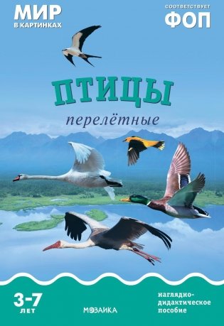 Птицы перелетные: Наглядно-дидактическое пособие фото книги