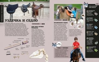 Лошади фото книги 5
