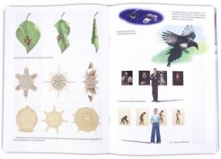 Встреча невдалеке от неба фото книги 4