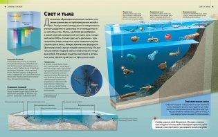 Жизнь в океане фото книги 7