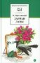 Заячьи лапы: рассказы и сказки фото книги маленькое 2