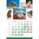 Календарь настенный перекидной на 2020 год "Знак года", 12 листов, 34х25,5 см фото книги маленькое 3