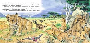 Приключения львенка фото книги 3