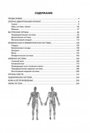 Анатомия человека фото книги 3