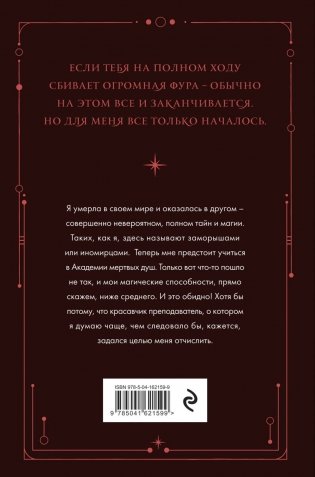 Академия мертвых душ. Неправильная студентка (Книга №1) фото книги 2