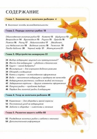 Золотая рыбка: наглядное пособие по уходу фото книги 2
