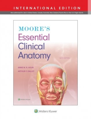 Moore&apos;s Essential Clinical Anatomy 6 ed., IE фото книги
