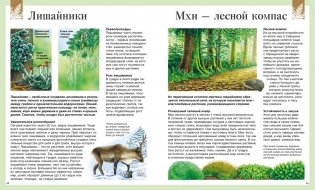 Детская энциклопедия про всё на свете фото книги 9