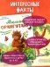 Малыш орангутанг. Приключения в тропиках фото книги маленькое 6