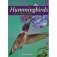 Hummingbirds Playing Cards фото книги маленькое 2