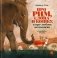 Про Рим, слона и кошку и про любовь немножко фото книги маленькое 2