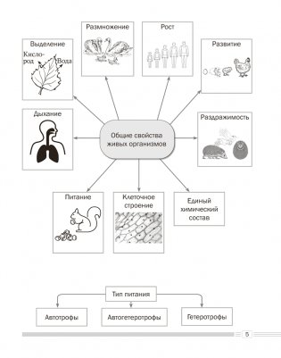 Биология. 7 класс. Опорные конспекты, схемы и таблицы. ГРИФ фото книги 4
