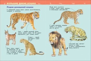 Кошки и котята. Энциклопедия для детского сада фото книги 4