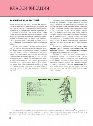 Растения: полная энциклопедия фото книги 7