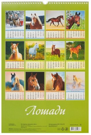 Календарь на 2024 год "Лошади" (320х480 мм) настенный, на спирали фото книги 4
