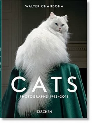 Walter Chandoha. Cats. Photographs 1942-2018 фото книги