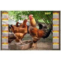 Календарь настенный "Символ года, листовой, на 2017 год фото книги