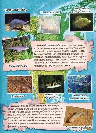 Рептилии и рыбы. Атлас (+ наклейки) фото книги 6