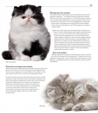 Все породы кошек фото книги 8
