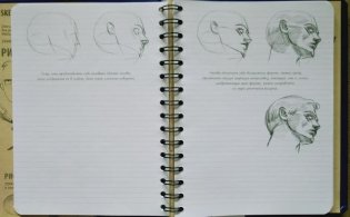 SketchBook. Рисуем человека. Экспресс-курс рисования фото книги 3