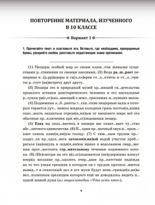 Русский язык. Проверочные работы для тематического и итогового контроля. 11 класс фото книги 3