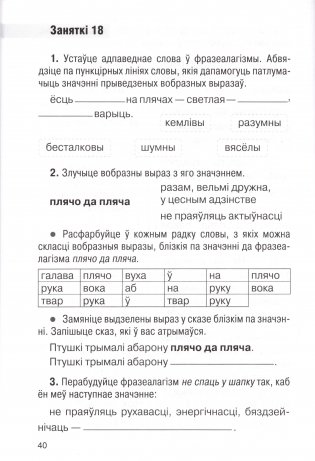 Факультатыўныя заняткі "У краіне знаёмых незнаёмцаў". 3 клас. Рабочы сшытак фото книги 7