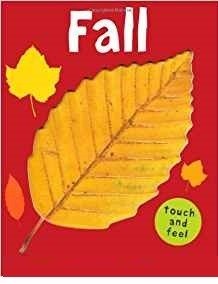 Fall. Board book фото книги