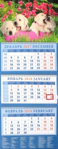 Календарь квартальный на 2018 год "Год собаки. Щенячьи нежности" фото книги