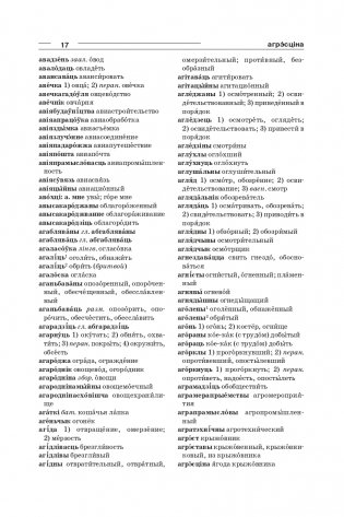 Большой белорусско-русский, русско-белорусский словарь фото книги 15