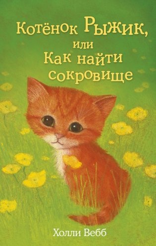 Котёнок Рыжик, или Как найти сокровище фото книги