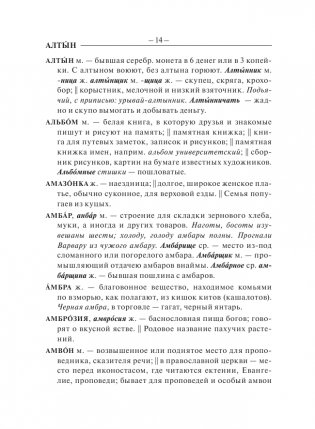 Толковый словарь русского языка фото книги 15
