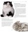 Все породы кошек фото книги маленькое 9