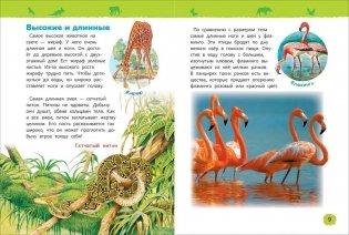 Удивительные животные. Энциклопедия для детского сада фото книги 2