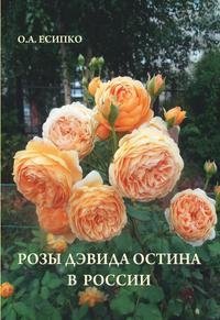 Розы Дэвида Остина в России фото книги
