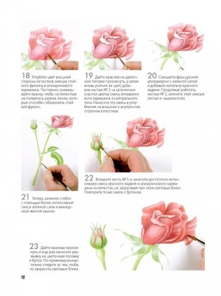 Нарисуй цветы в ботаническом стиле акварелью по схемам фото книги 5