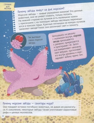 Почему звёзды живут на дне морском? Интересные факты о морских обитателях фото книги 2